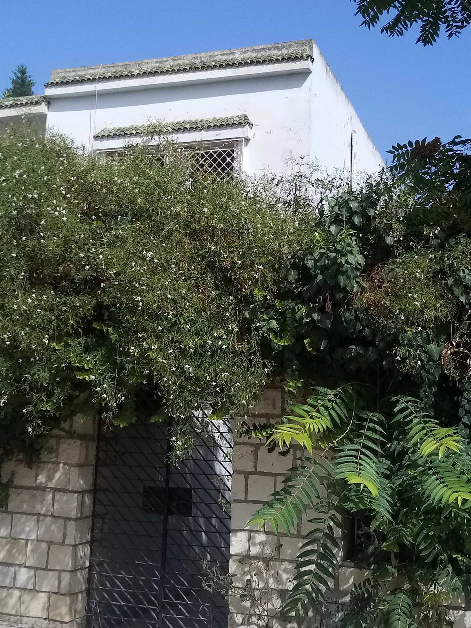 Maison S+3 à vendre à bardo