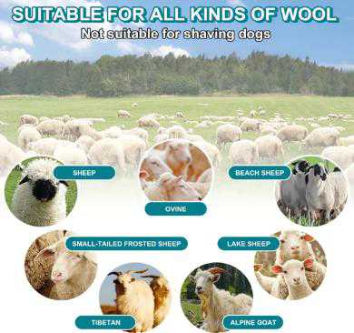 Tondeuse à moutons sans fil