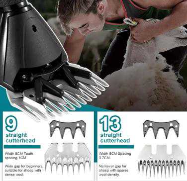 Tondeuse à moutons sans fil