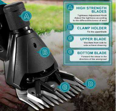 Tondeuse à moutons sans fil