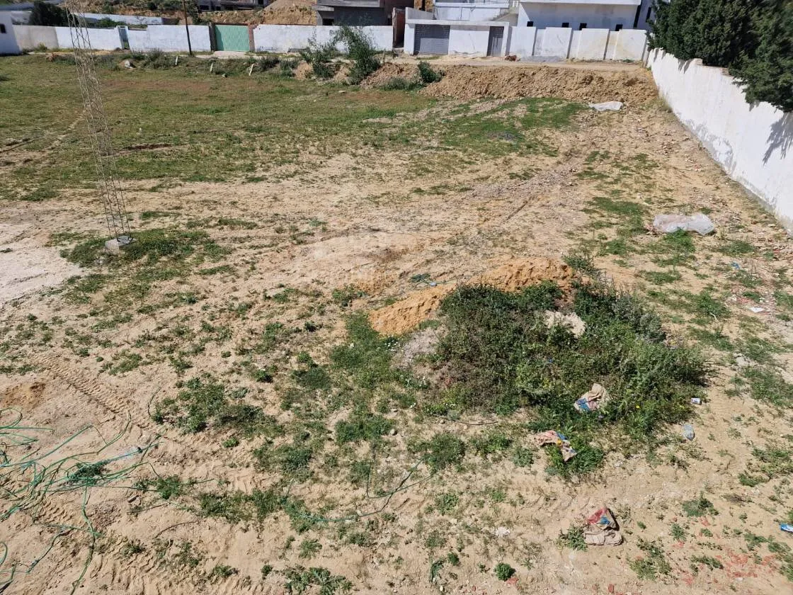  51355351للبيع أرض صبغة سكنية مساحتهتا 387 م² في الحمامات