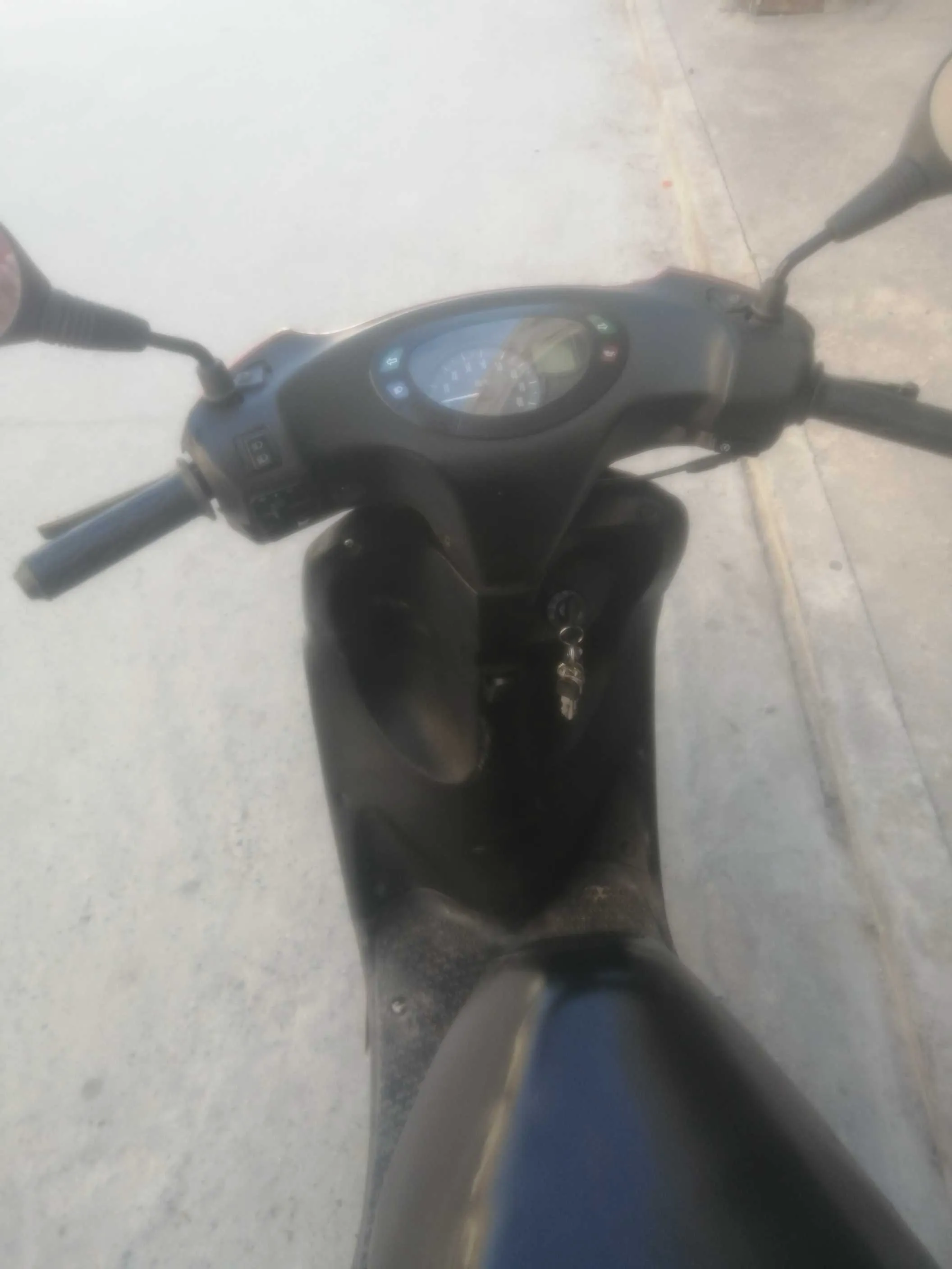 ovetto 50