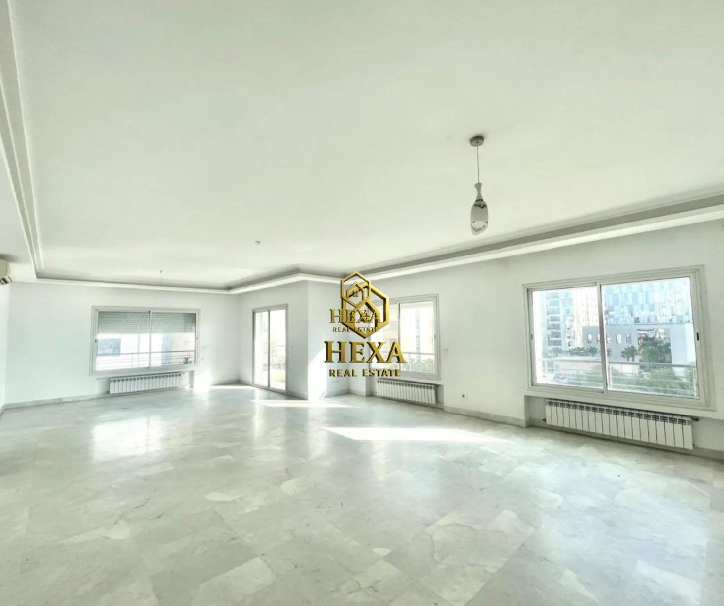 Appartement s3 à usage bureautique au lac 2