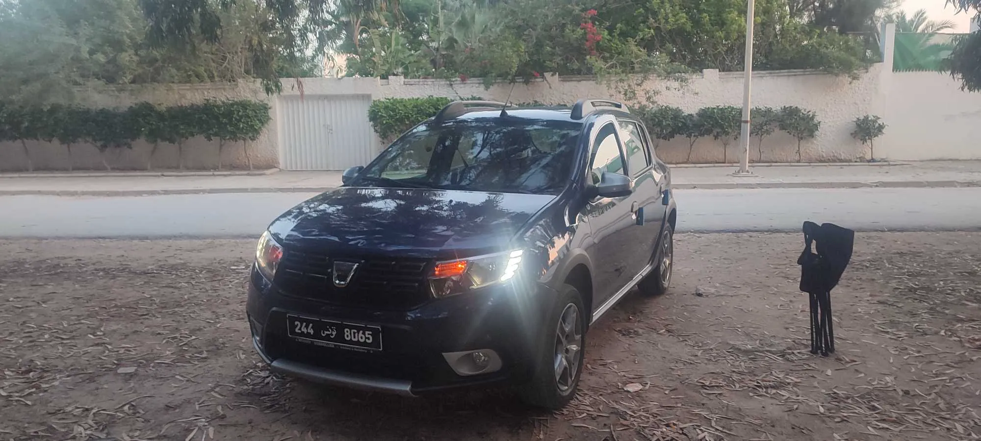 Stepway 