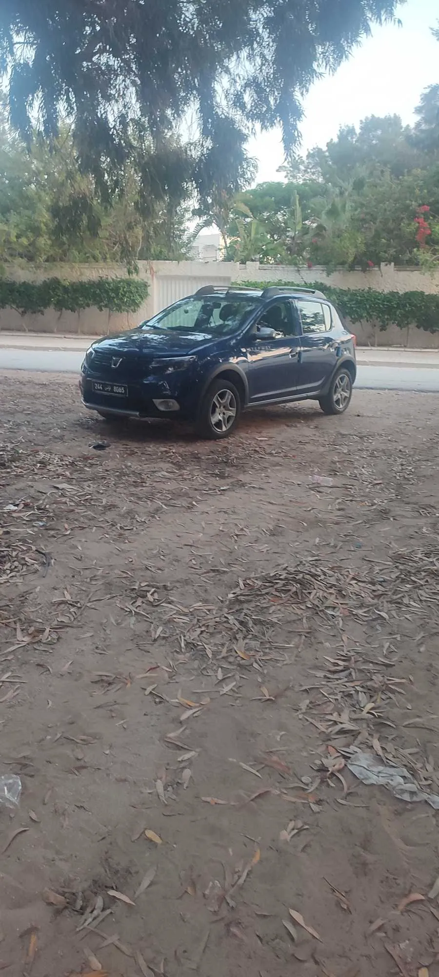 Stepway 