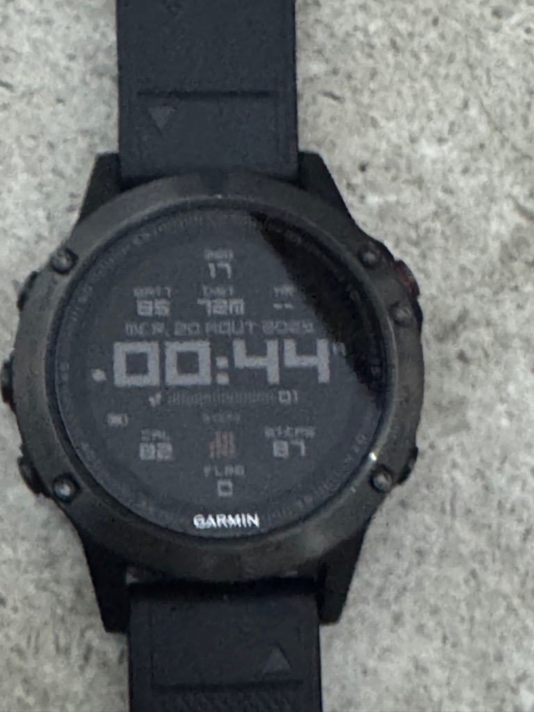 Garmin