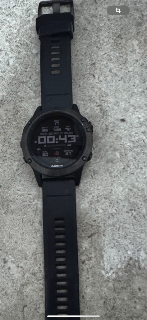 Garmin