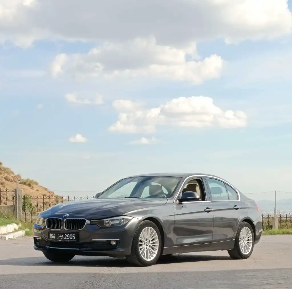 đbmw f30 316i luxury