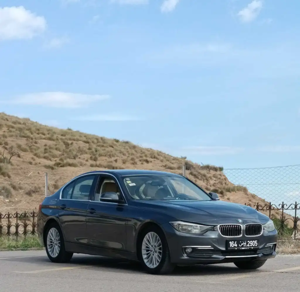 đbmw f30 316i luxury