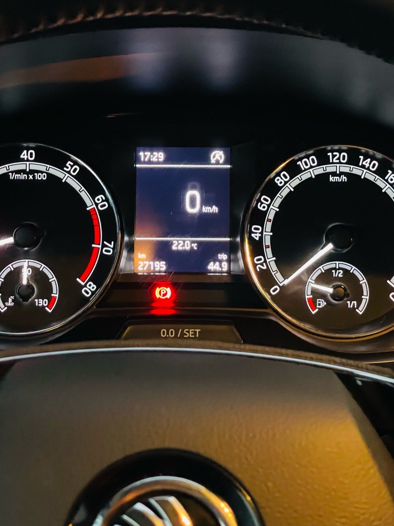 SKODA FABIA FIN SERIE IMPORTEÉ🇩🇪🇩🇪