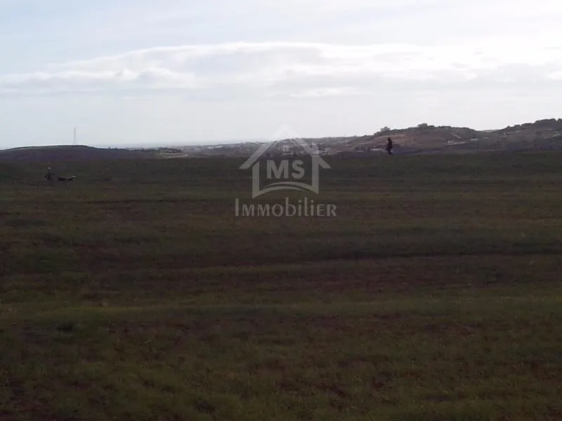 4 hectares ayant une vue de mer à vendre à Hammamet Sud 51355351