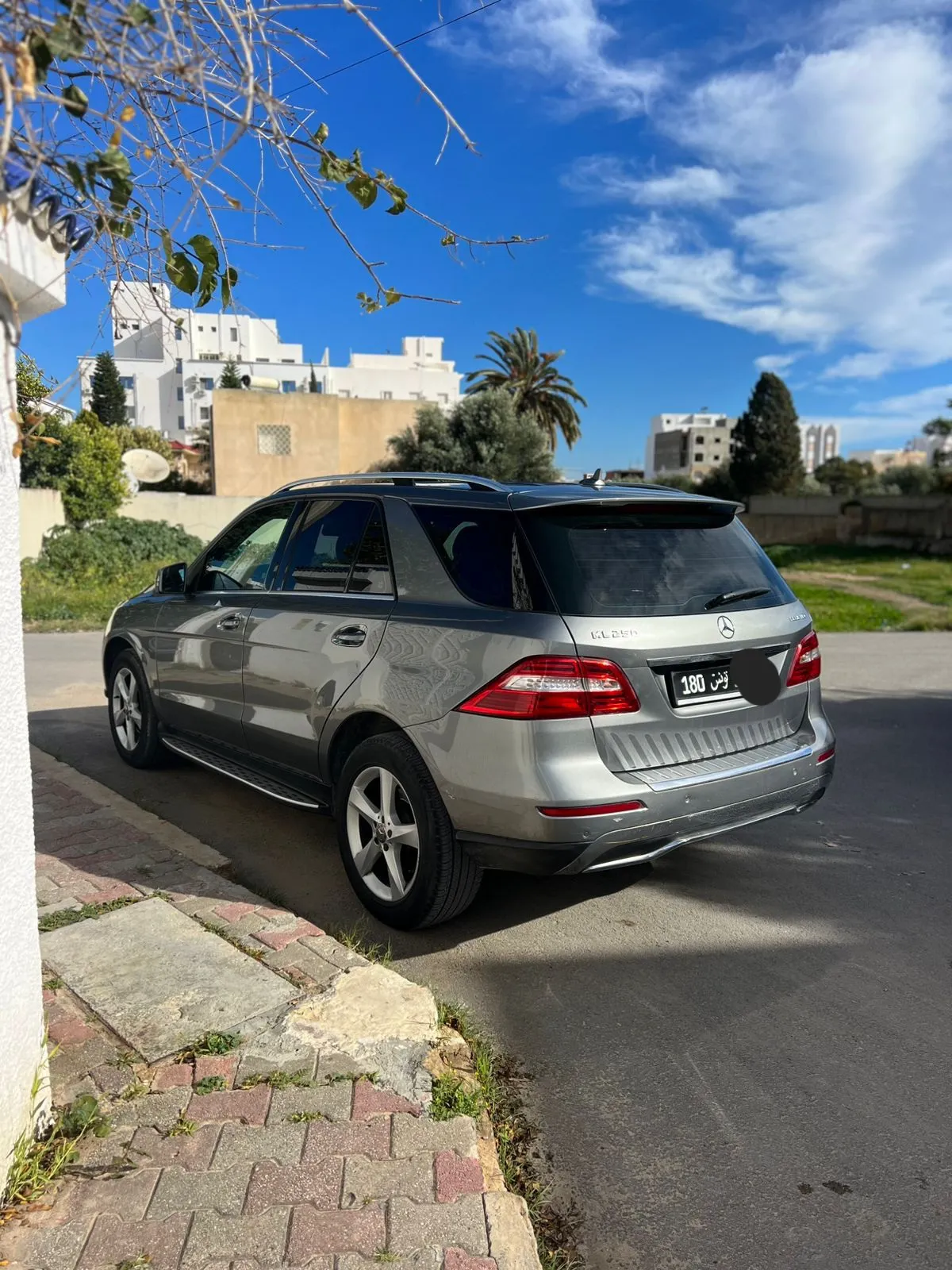 Mercedes ML250 Bluetec