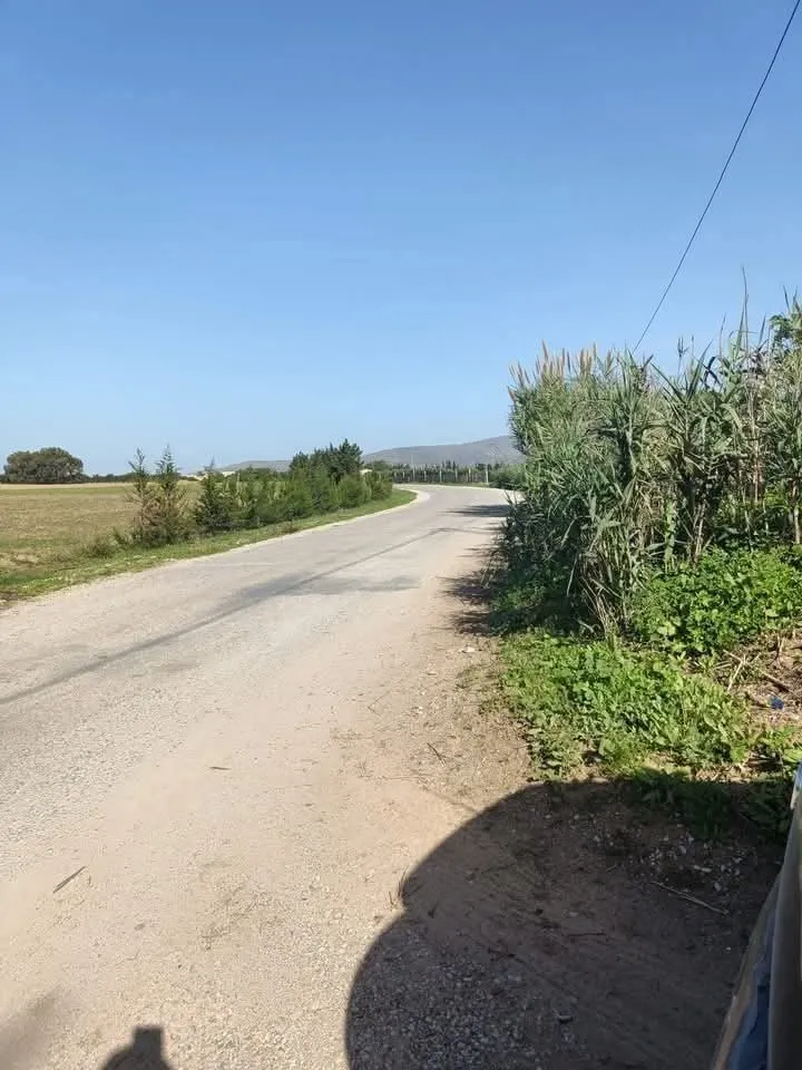 A vendre un terrain de 3600m² avec un puit a el haouaria 3 klm au centre ville