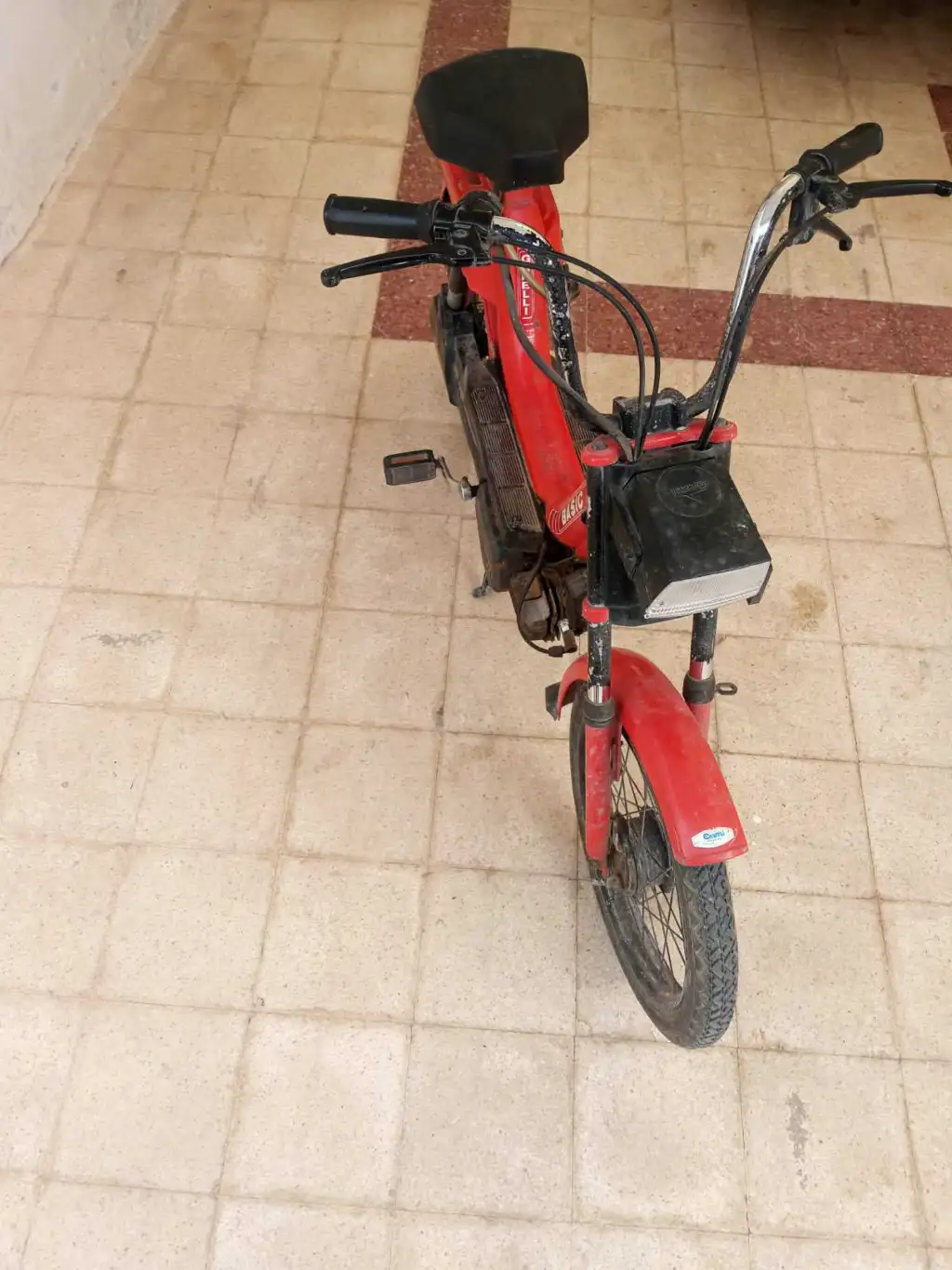 Graelli basic 