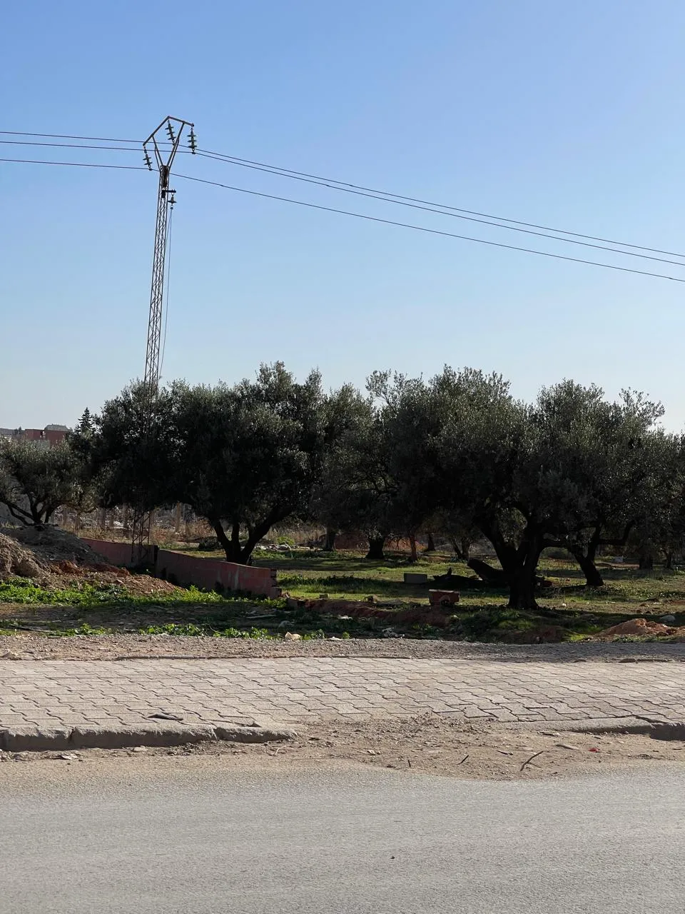 أرض للبيع كياس الشنوة