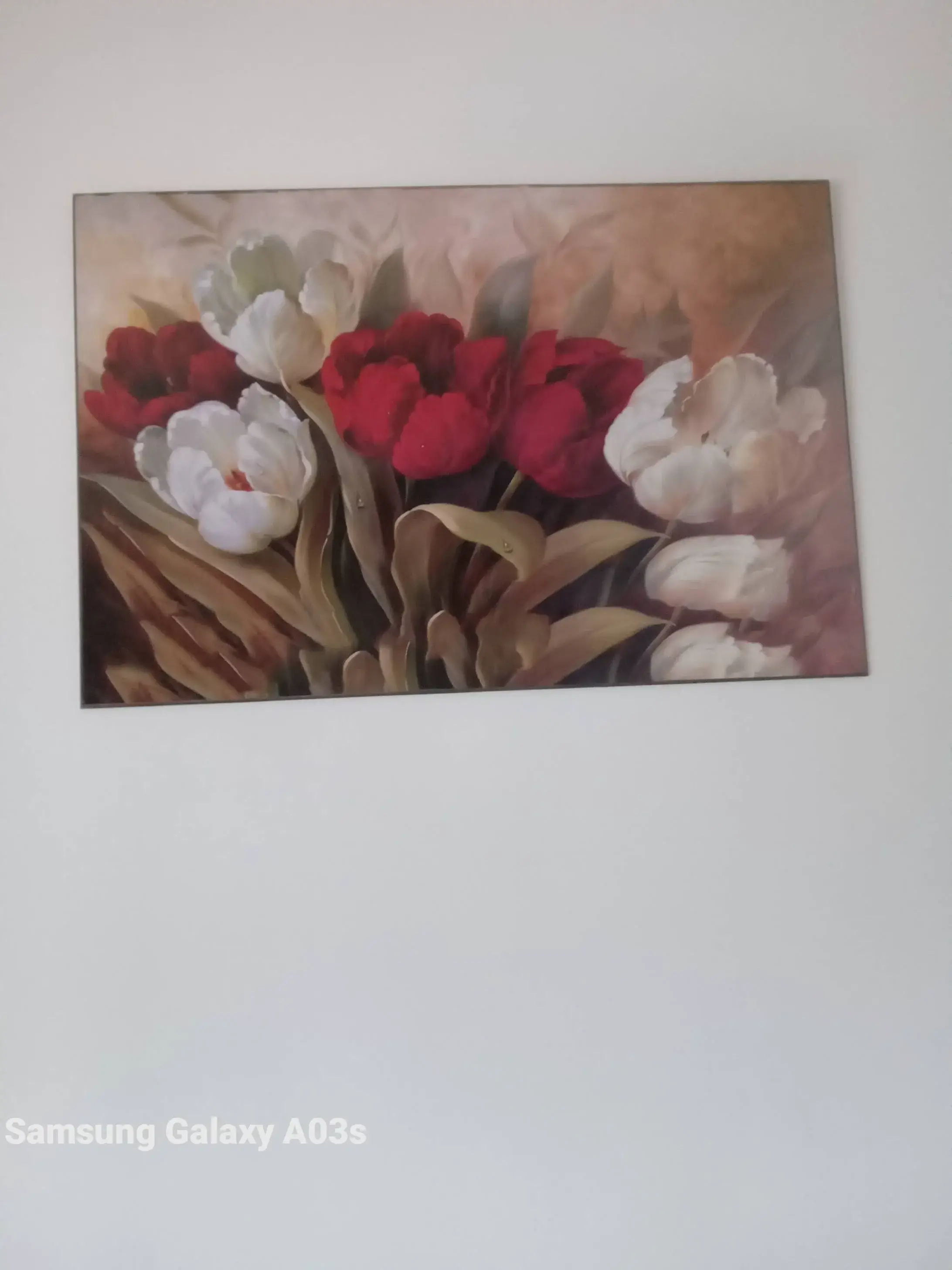 image propriétaire de l'annonce