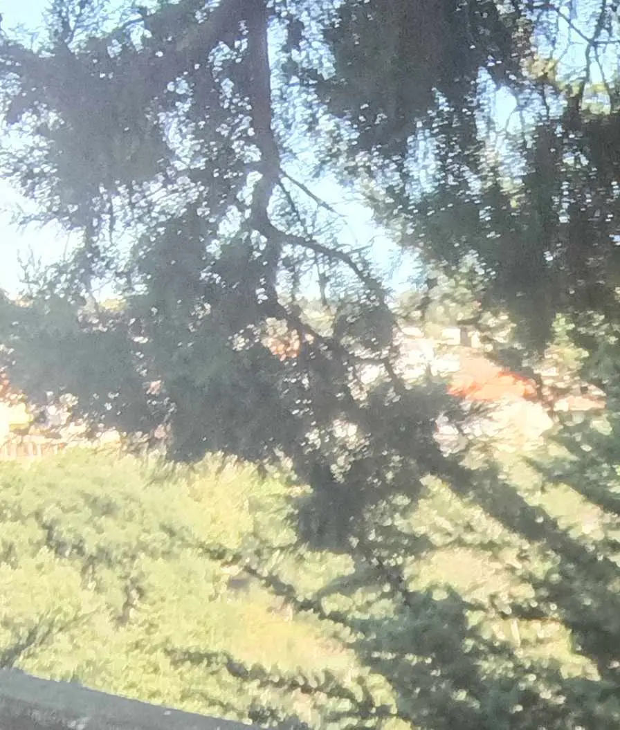 image propriétaire de l'annonce