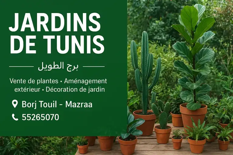 image propriétaire de l'annonce