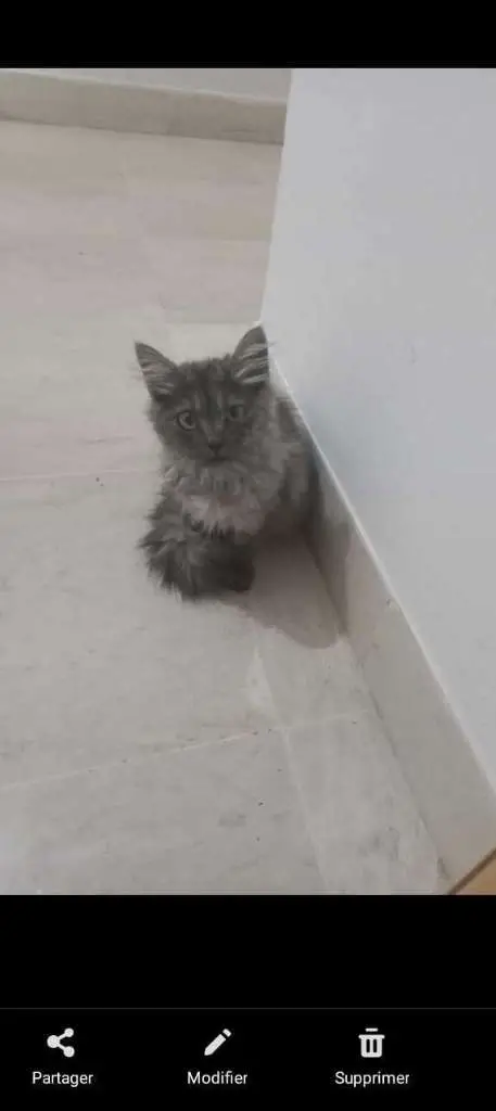 image propriétaire de l'annonce