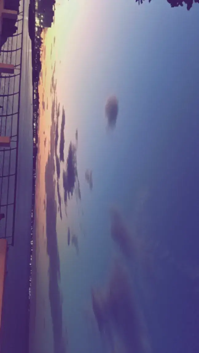 image propriétaire de l'annonce