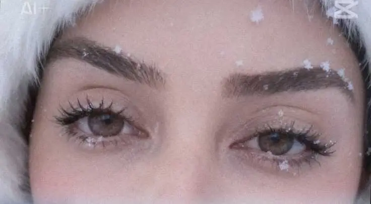 image propriétaire de l'annonce