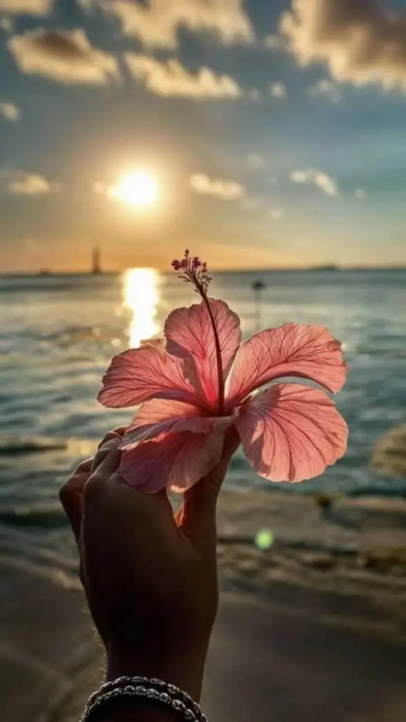 image propriétaire de l'annonce